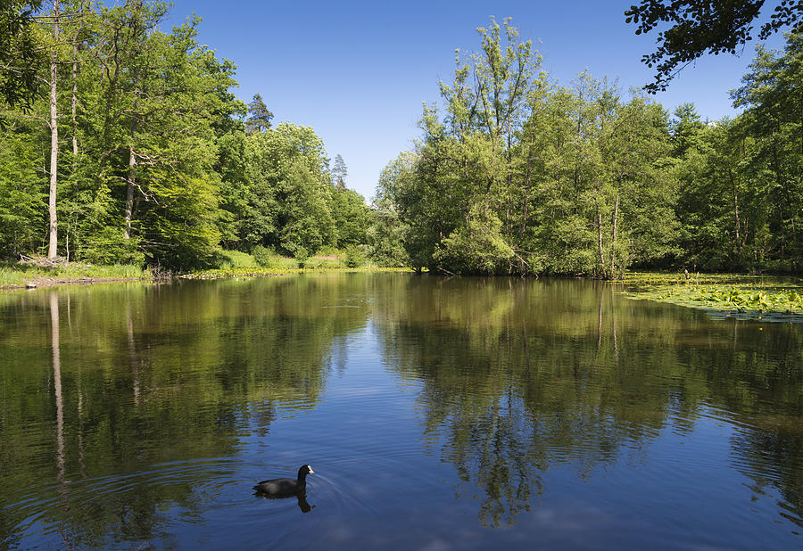 LAKE
